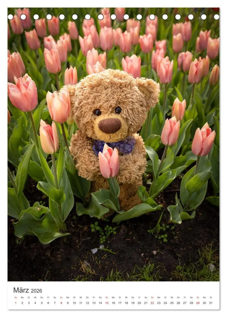 Bild: 9783516713749 | Travelling Teddy liebt Blumen und Blüten (Tischkalender 2026 DIN A5...