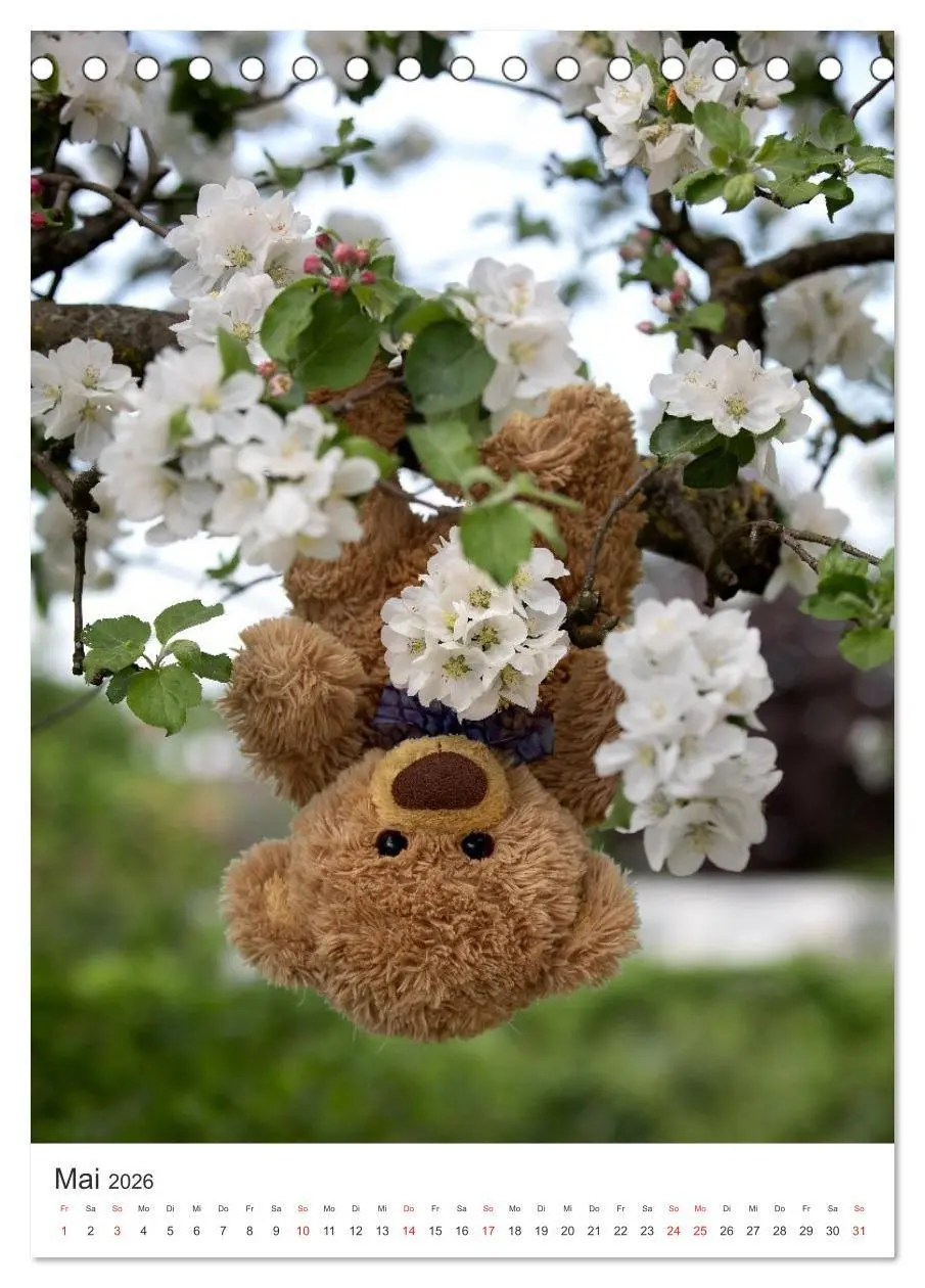 Bild: 9783516713749 | Travelling Teddy liebt Blumen und Blüten (Tischkalender 2026 DIN A5...