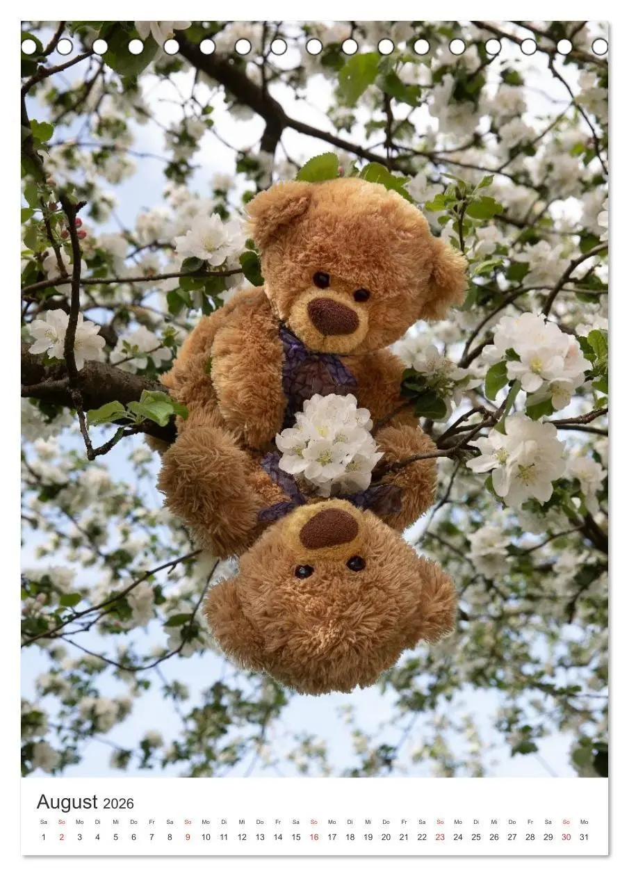 Bild: 9783516713749 | Travelling Teddy liebt Blumen und Blüten (Tischkalender 2026 DIN A5...