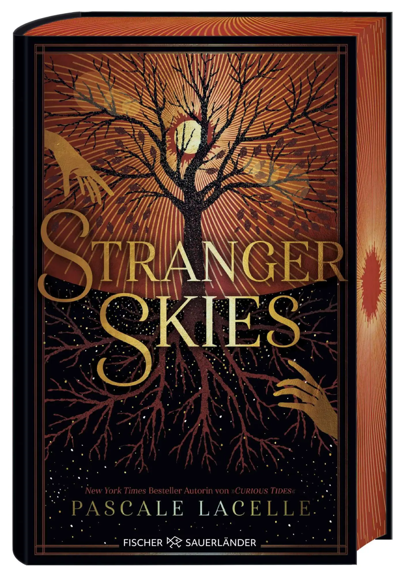 Cover: 9783737343749 | Stranger Skies | Die Fortsetzung der epischen Romantasy Dilogie | Buch