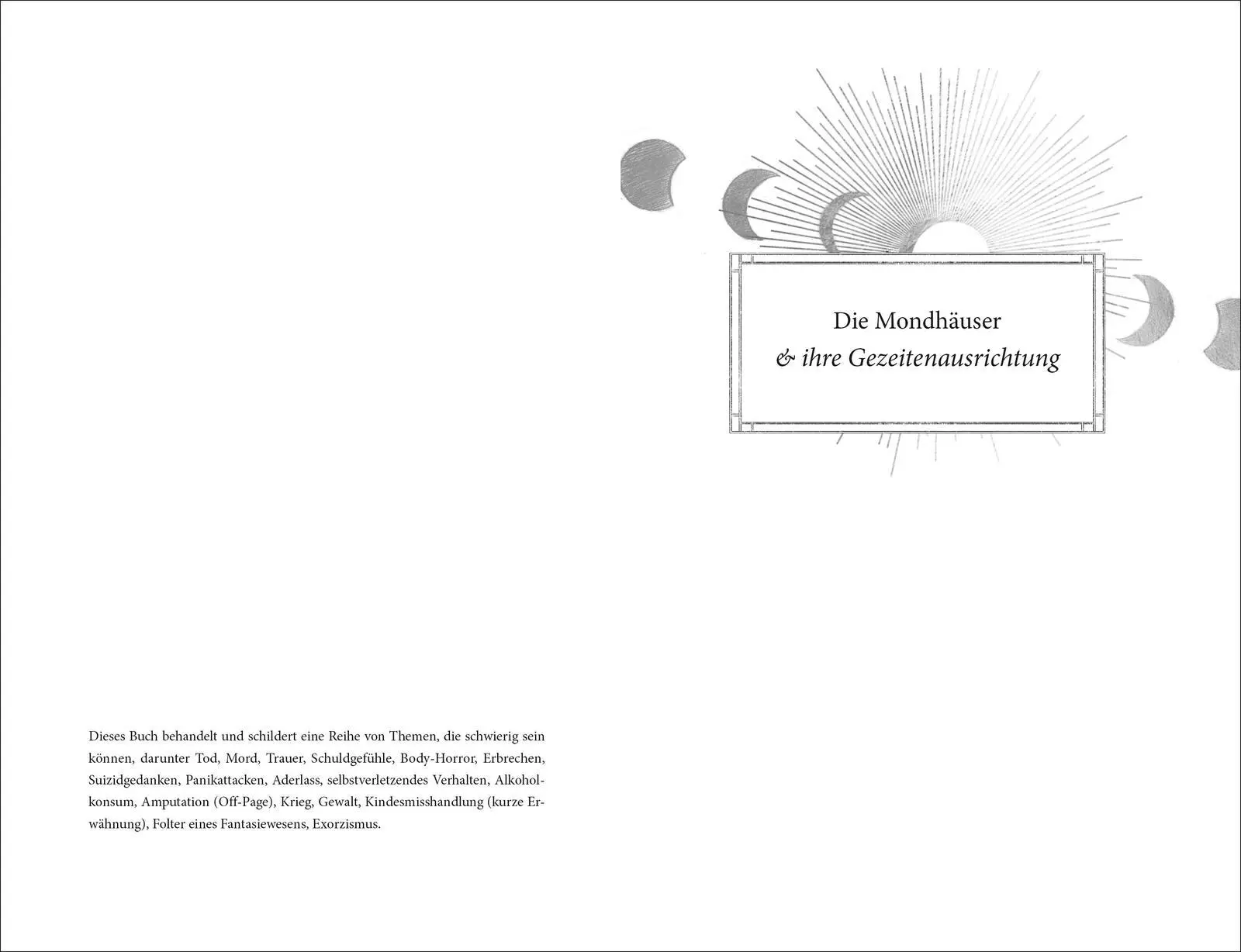 Bild: 9783737343749 | Stranger Skies | Die Fortsetzung der epischen Romantasy Dilogie | Buch