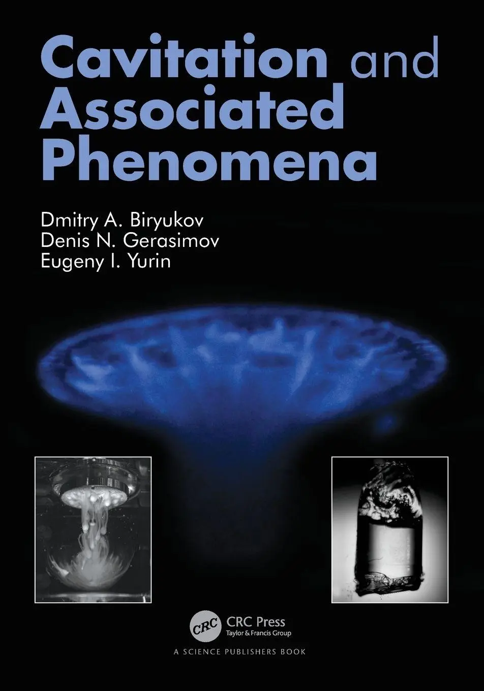 Cover: 9781032243849 | Cavitation and Associated Phenomena | Dmitry Biryukov (u. a.) | Buch