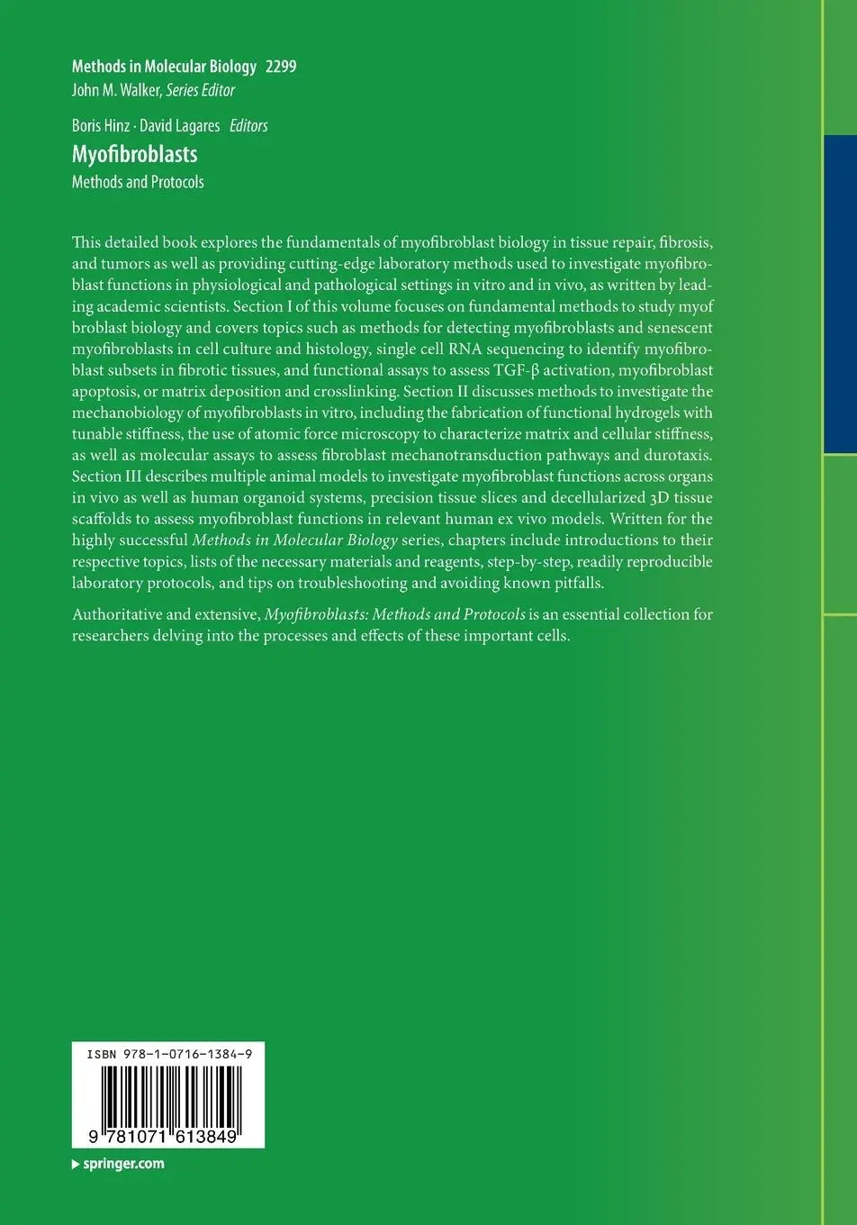 Rückseite: 9781071613849 | Myofibroblasts | Methods and Protocols | Boris Hinz (u. a.) | Buch