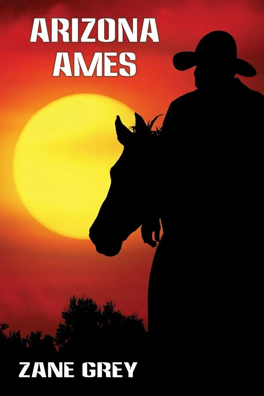 Cover: 9781479453849 | Arizona Ames | Zane Grey | Taschenbuch | Kartoniert / Broschiert