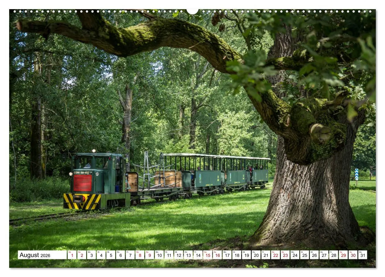 Bild: 9783457853849 | Eisenbahn in Ungarn (Wandkalender 2026 DIN A2 quer), CALVENDO...
