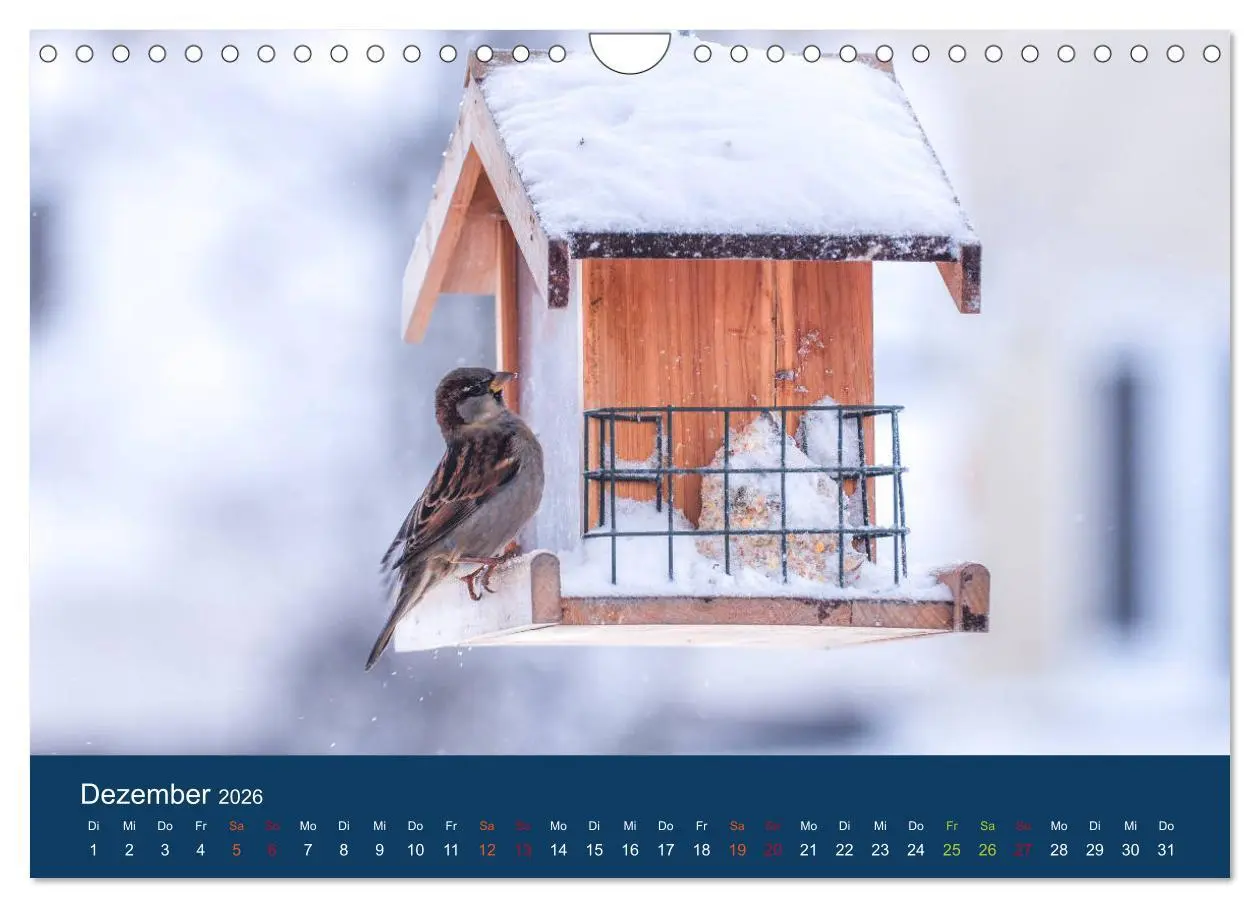 Bild: 9783516183849 | Spatzen-Kalender (Wandkalender 2026 DIN A4 quer), CALVENDO...