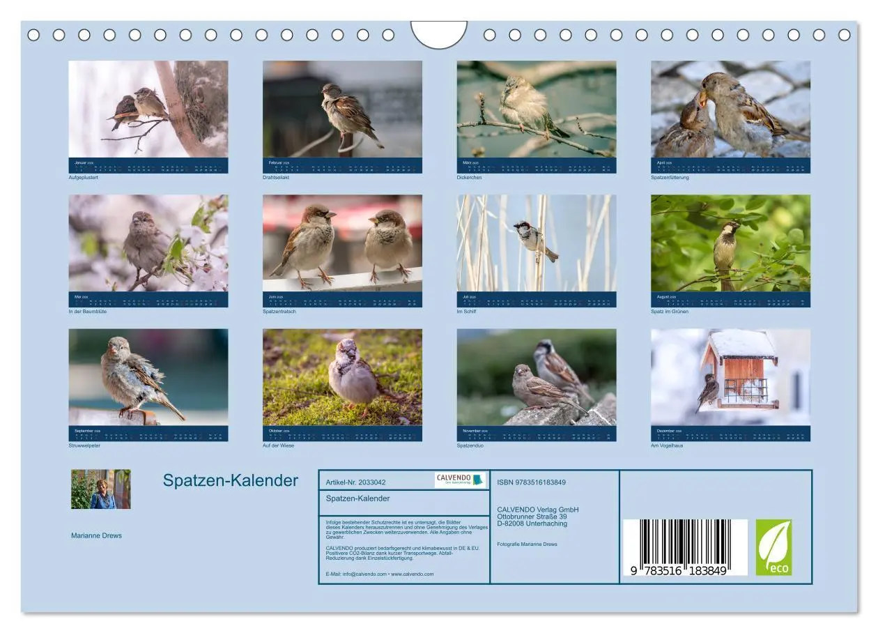 Bild: 9783516183849 | Spatzen-Kalender (Wandkalender 2026 DIN A4 quer), CALVENDO...