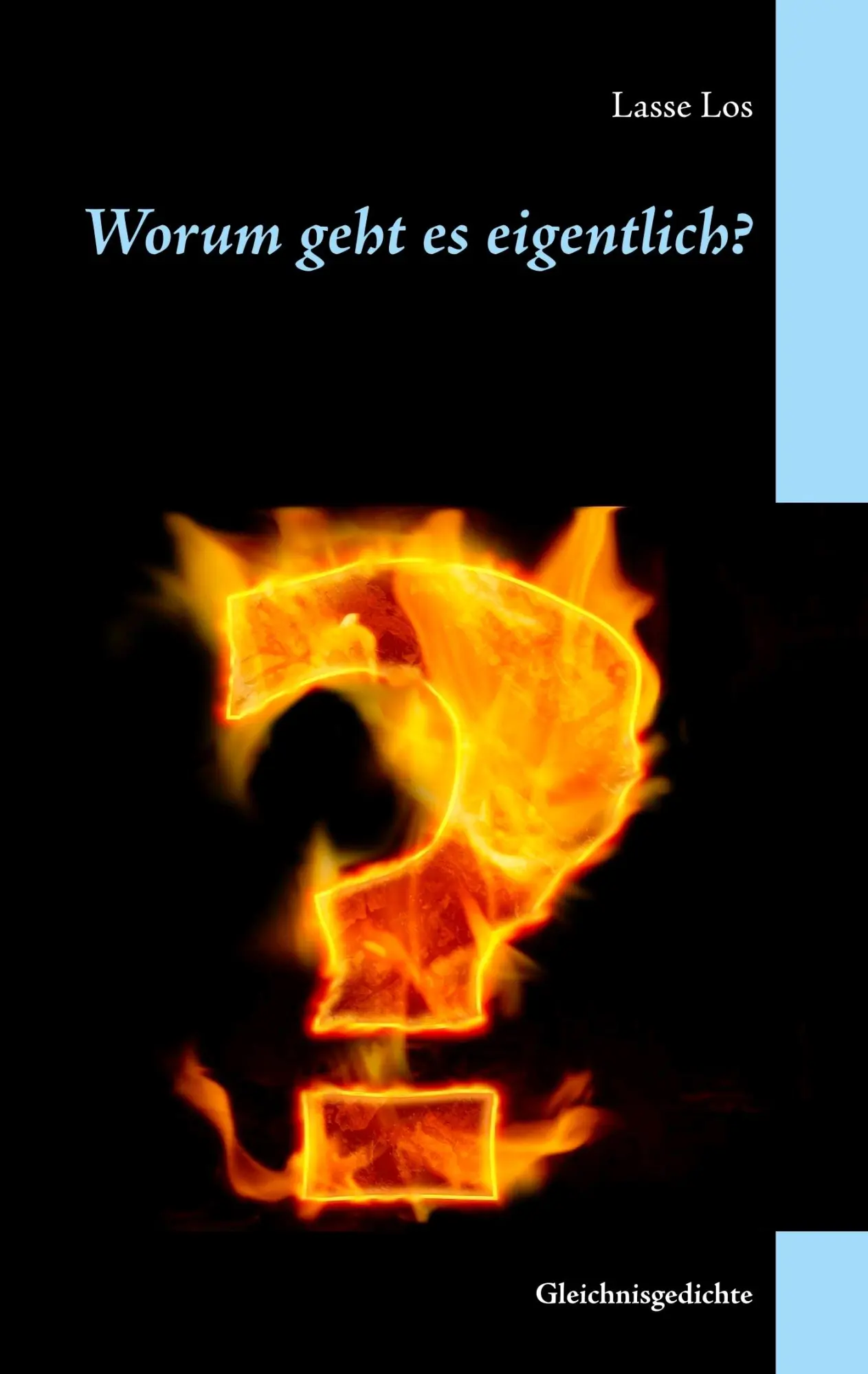 Cover: 9783750413849 | Worum geht es eigentlich? | Gleichnisgedichte | Lasse Los | Buch