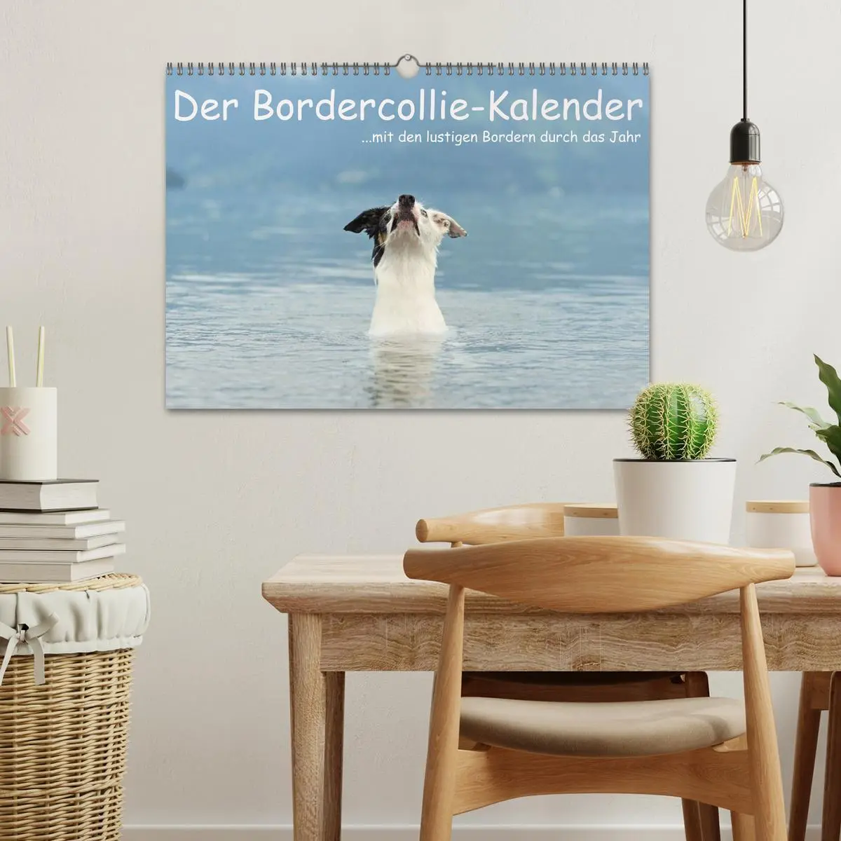 Bild: 9783516173949 | Der Bordercollie-Kalender (Wandkalender 2026 DIN A3 quer), CALVENDO...