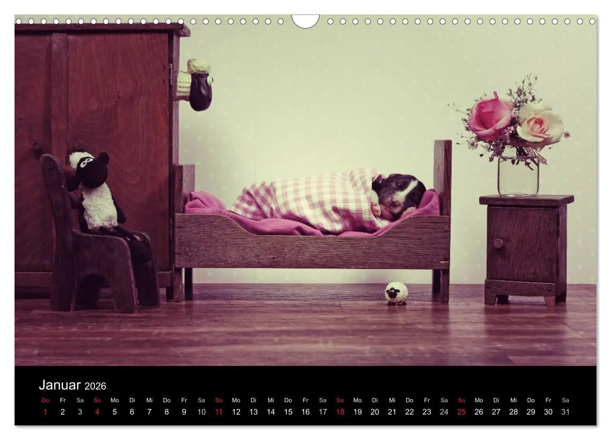 Bild: 9783516173949 | Der Bordercollie-Kalender (Wandkalender 2026 DIN A3 quer), CALVENDO...