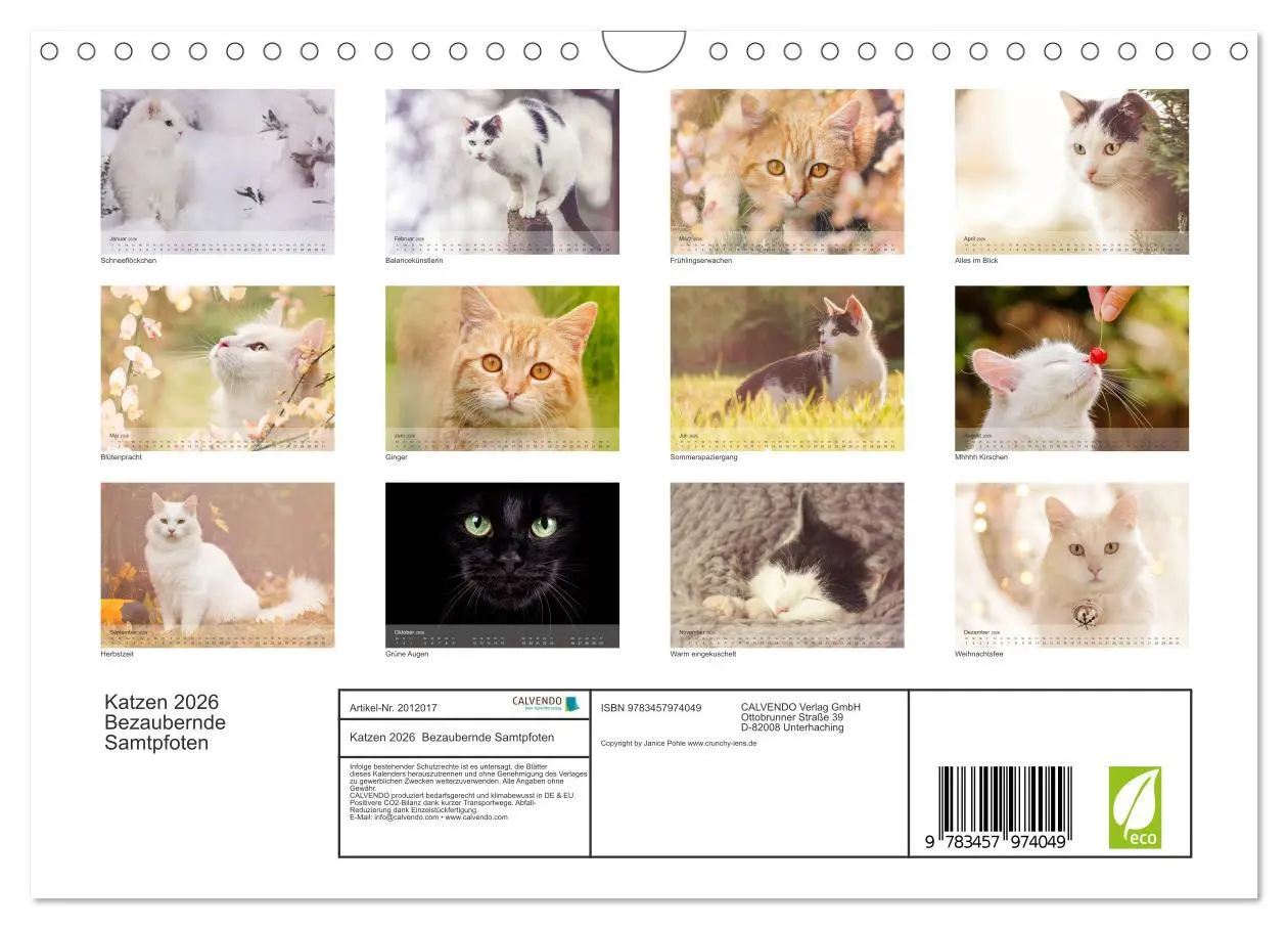 Bild: 9783457974049 | Katzen 2026 Bezaubernde Samtpfoten (Wandkalender 2026 DIN A4 quer),...