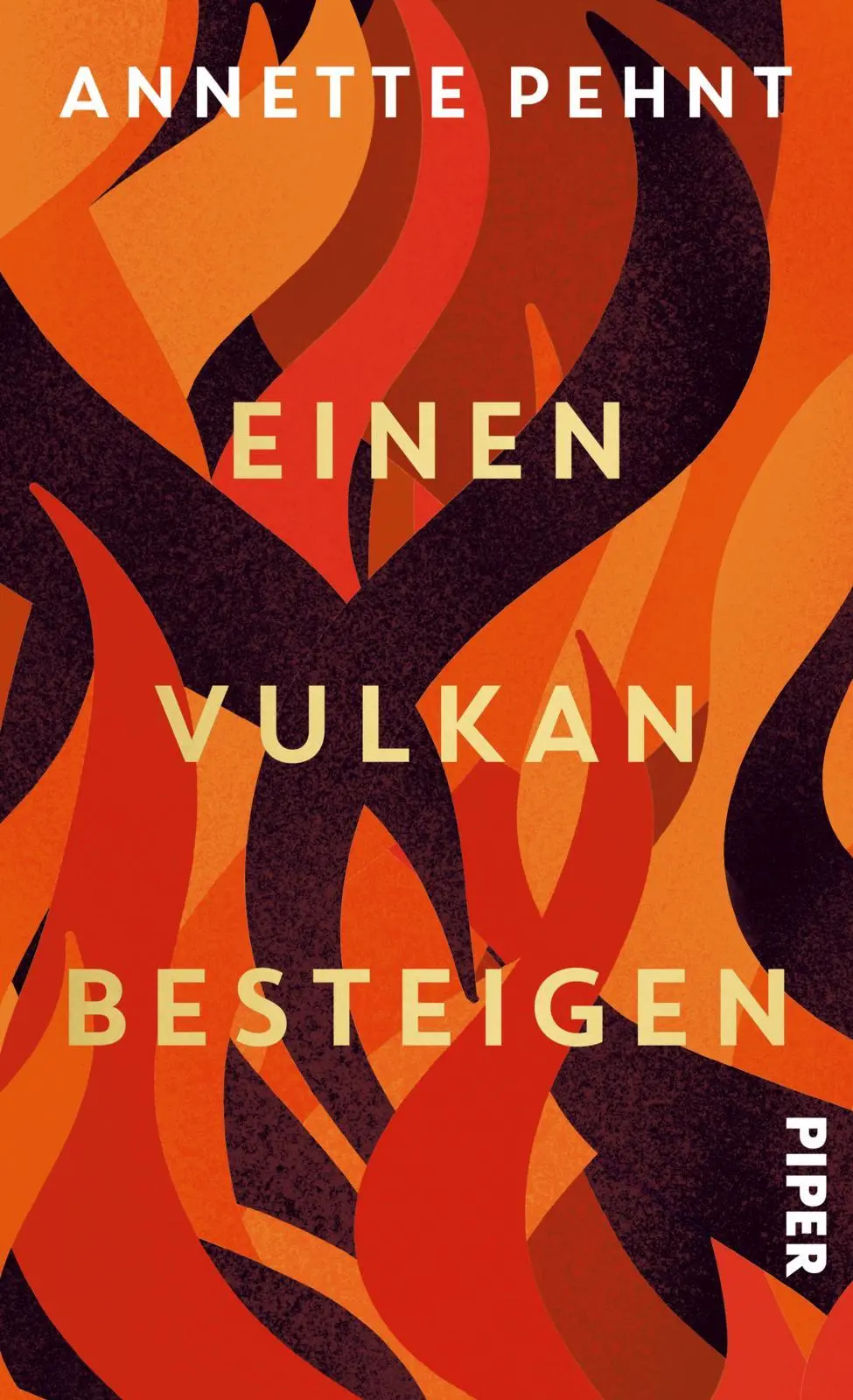Cover: 9783492074049 | Einen Vulkan besteigen | Annette Pehnt | Buch | 288 S. | Deutsch