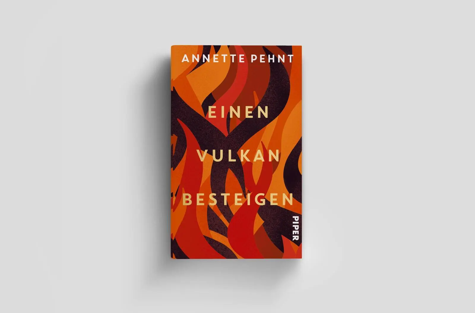 Bild: 9783492074049 | Einen Vulkan besteigen | Annette Pehnt | Buch | 288 S. | Deutsch