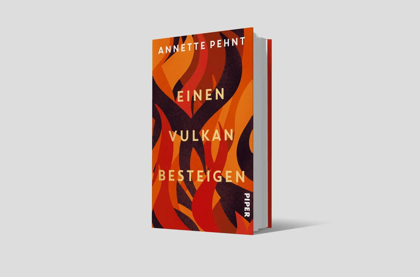 Bild: 9783492074049 | Einen Vulkan besteigen | Annette Pehnt | Buch | 288 S. | Deutsch