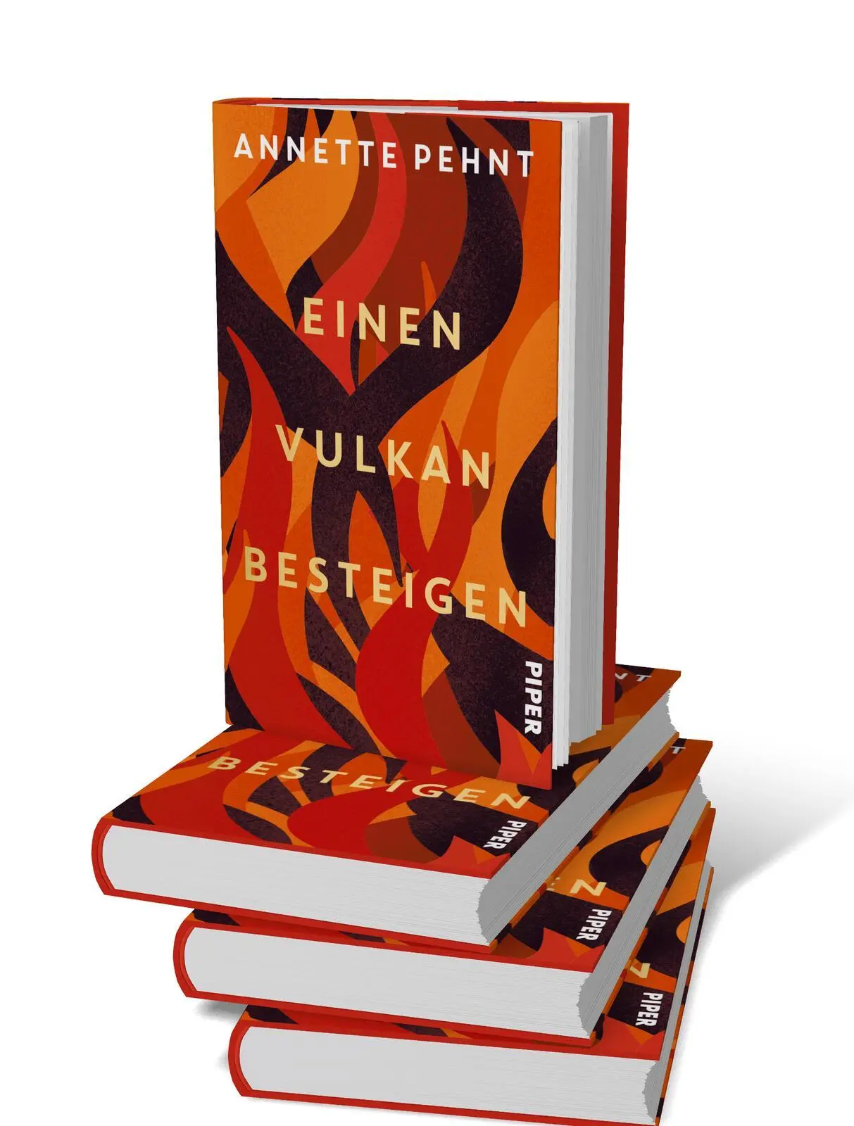 Bild: 9783492074049 | Einen Vulkan besteigen | Annette Pehnt | Buch | 288 S. | Deutsch