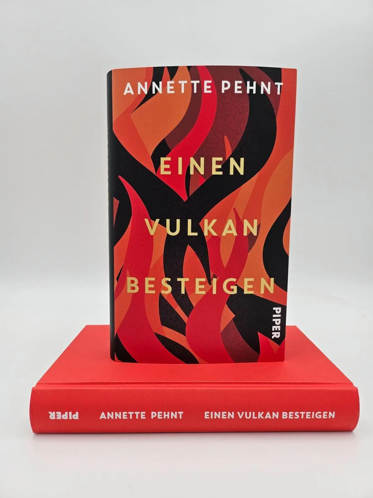 Bild: 9783492074049 | Einen Vulkan besteigen | Annette Pehnt | Buch | 288 S. | Deutsch