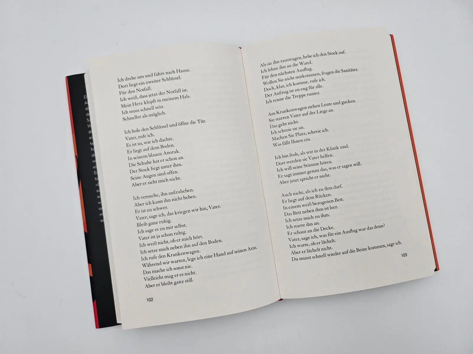 Bild: 9783492074049 | Einen Vulkan besteigen | Annette Pehnt | Buch | 288 S. | Deutsch