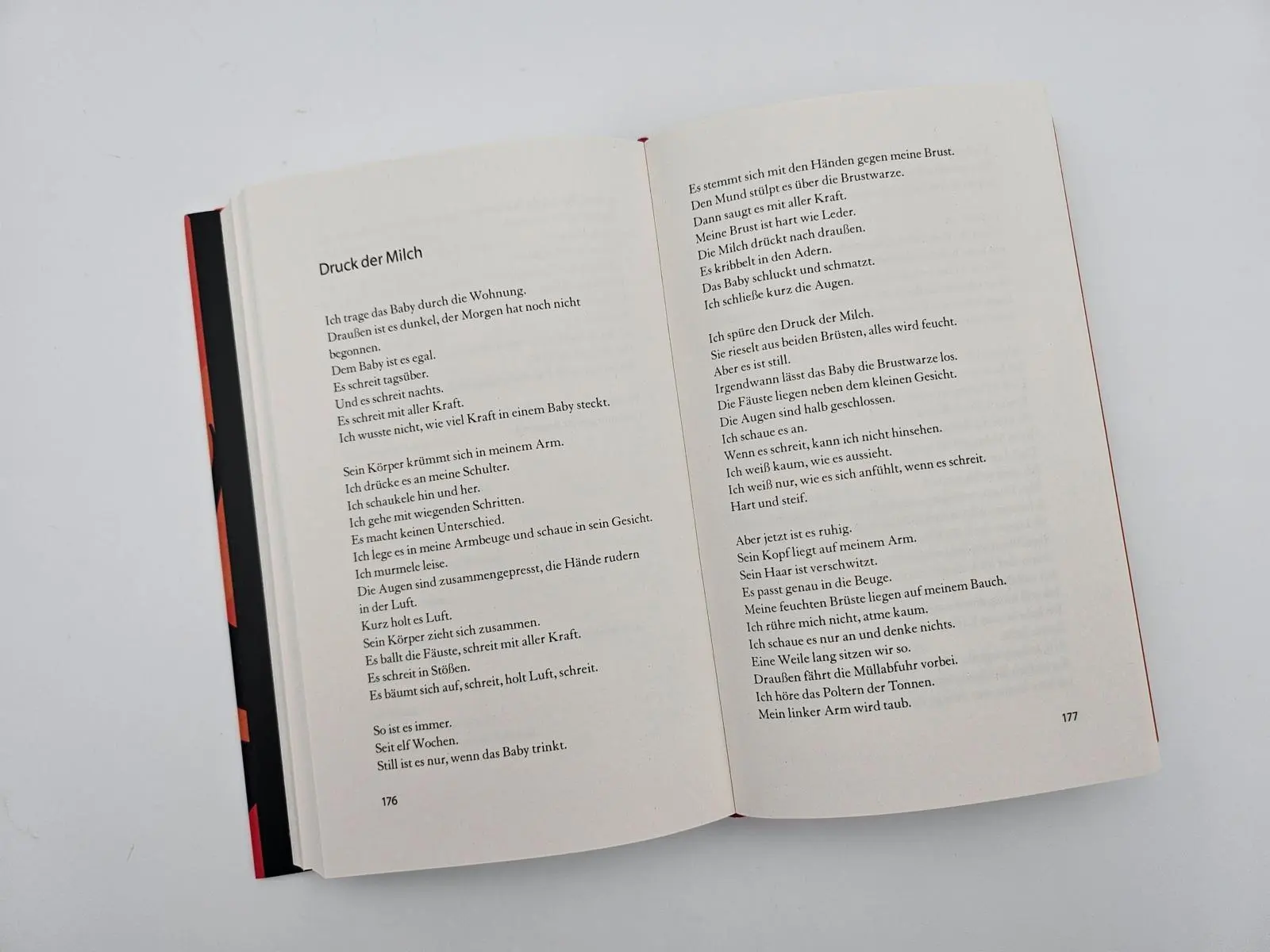 Bild: 9783492074049 | Einen Vulkan besteigen | Annette Pehnt | Buch | 288 S. | Deutsch