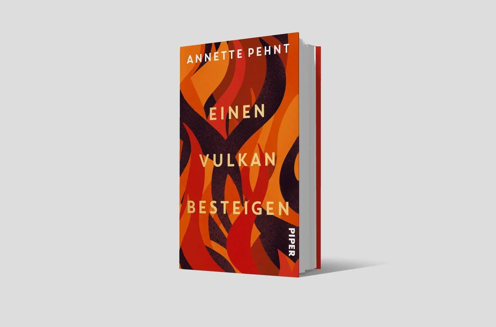 Bild: 9783492074049 | Einen Vulkan besteigen | Annette Pehnt | Buch | 288 S. | Deutsch