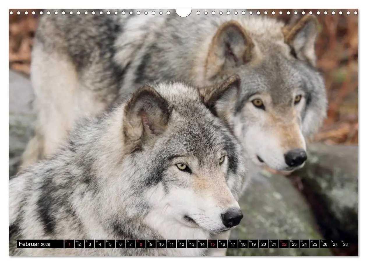 Bild: 9783516134049 | Kanada - Das Paradies für Entdecker (Wandkalender 2026 DIN A3...