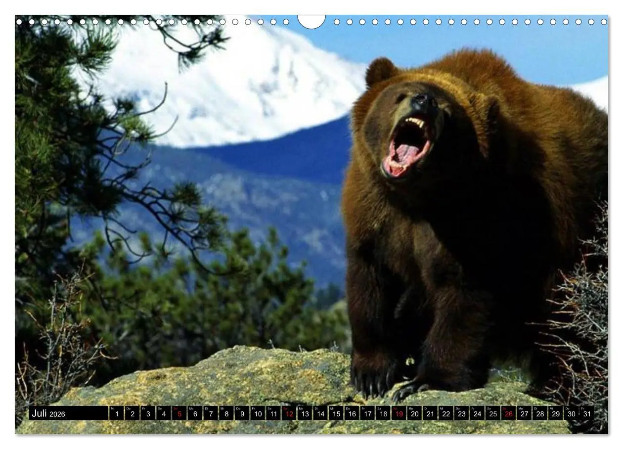 Bild: 9783516134049 | Kanada - Das Paradies für Entdecker (Wandkalender 2026 DIN A3...