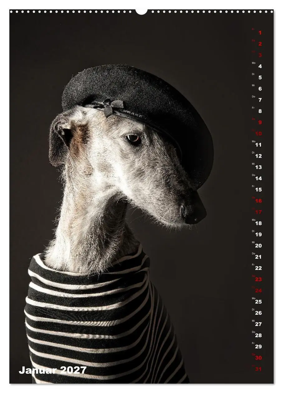 Bild: 9783569534049 | dogmuse deluxe (hochwertiger Premium Wandkalender 2027 DIN A2...