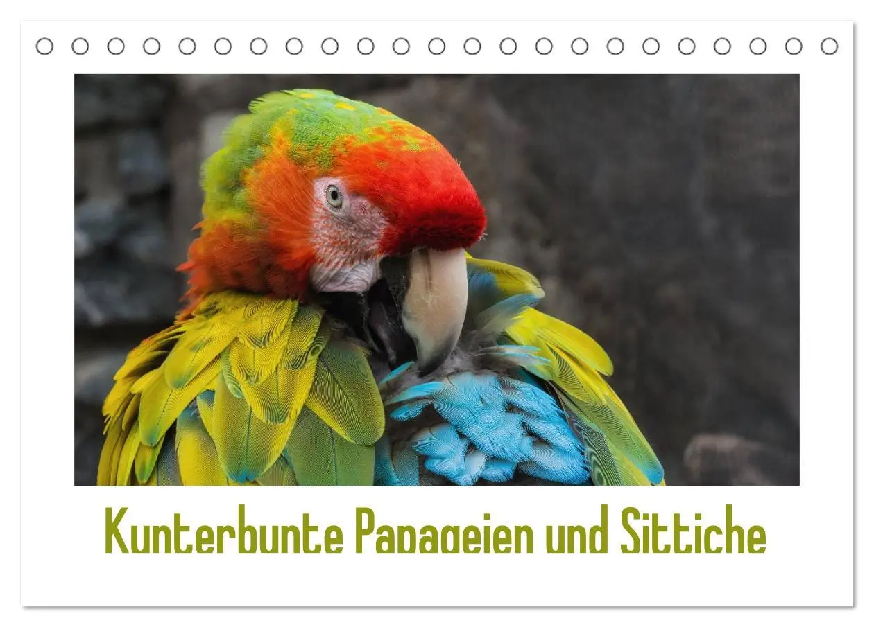 Cover: 9783516054149 | Kunterbunte Papageien und Sittiche (Tischkalender 2026 DIN A5...