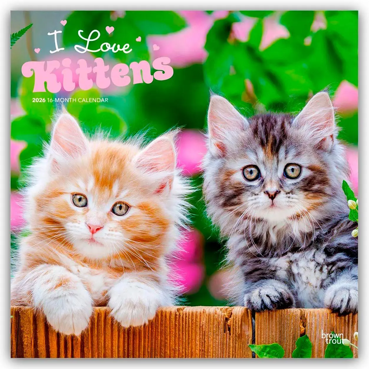 Cover: 9798330704149 | I Love Kittens - Ich liebe Katzenbabys 2026 - 16-Monatskalender | 2026