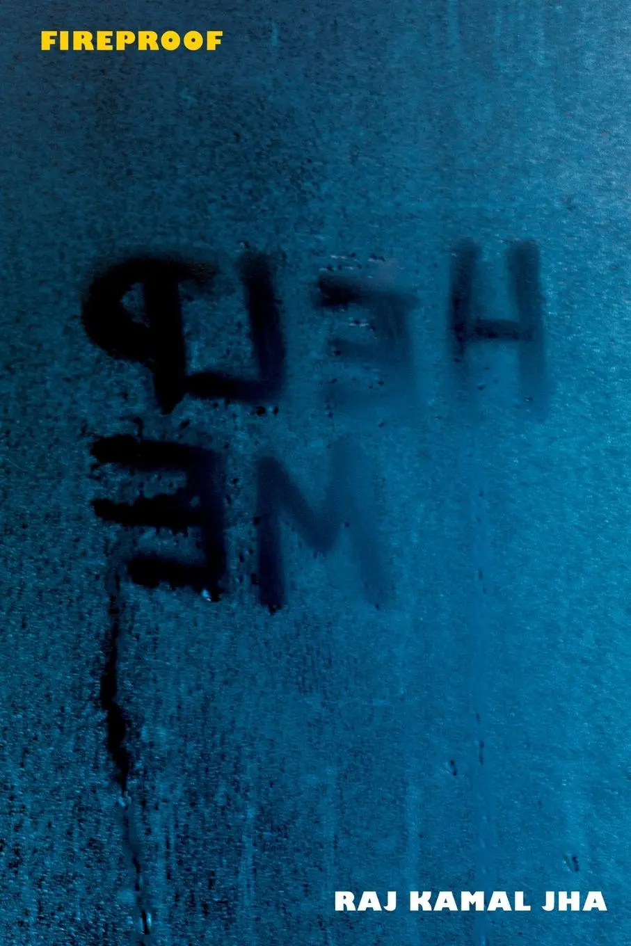 Cover: 9781447254249 | Fireproof | Raj Kamal Jha | Taschenbuch | Englisch | 2013 | Picador