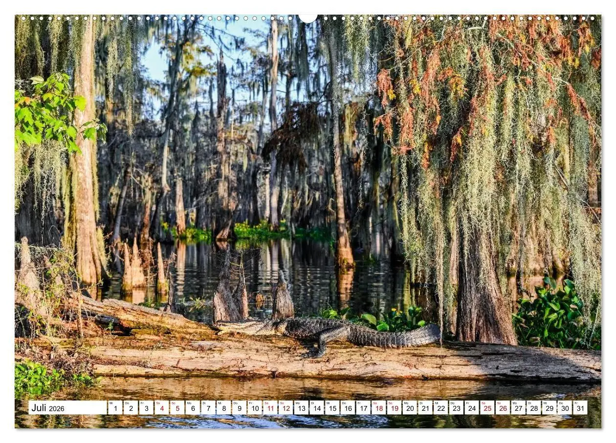 Bild: 9783516734249 | Louisiana - Sümpfe und Plantagenhäuser (Wandkalender 2026 DIN A2...