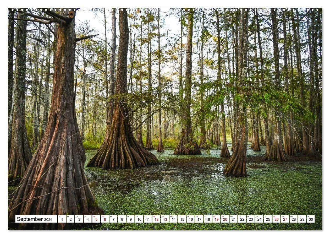 Bild: 9783516734249 | Louisiana - Sümpfe und Plantagenhäuser (Wandkalender 2026 DIN A2...