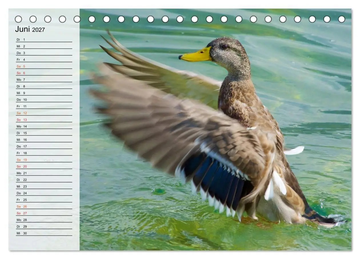 Bild: 9783569684249 | Caldonazzo See (Tischkalender 2027 DIN A5 quer), CALVENDO...