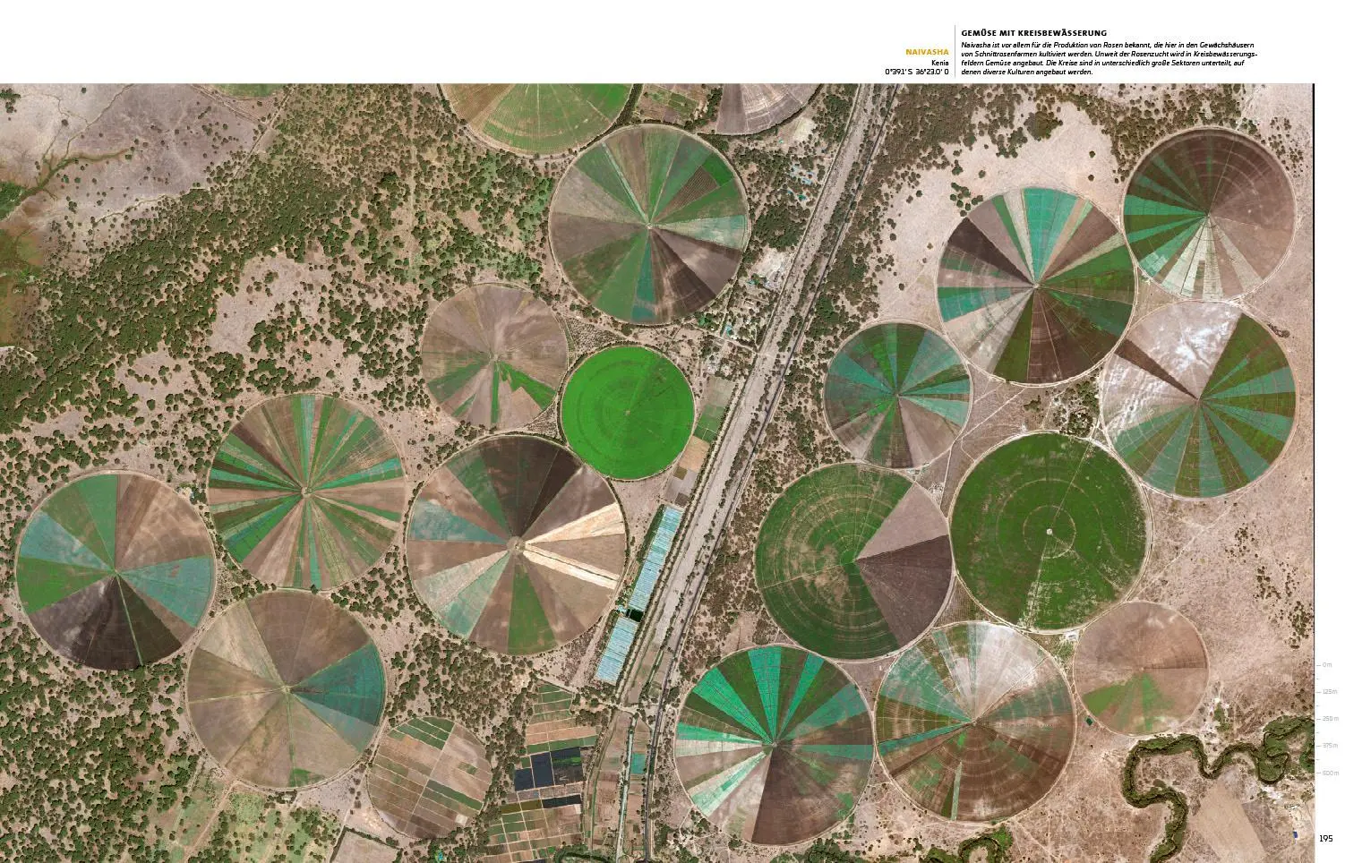 Bild: 9783902834249 | New Human Footprint | Unsere Welt im Umbruch | Markus Eisl | Buch