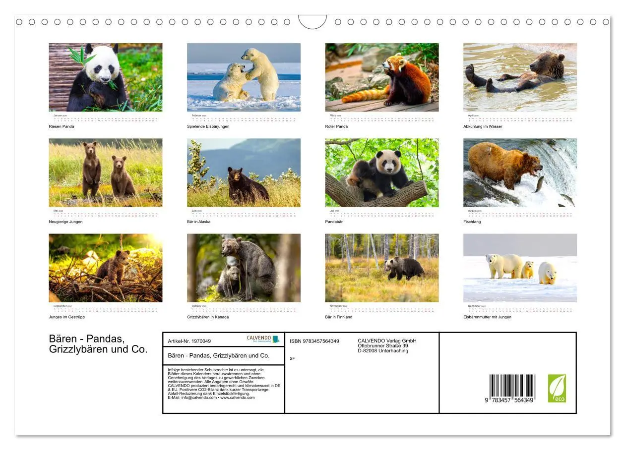 Bild: 9783457564349 | Bären - Pandas, Grizzlybären und Co. (Wandkalender 2026 DIN A3...