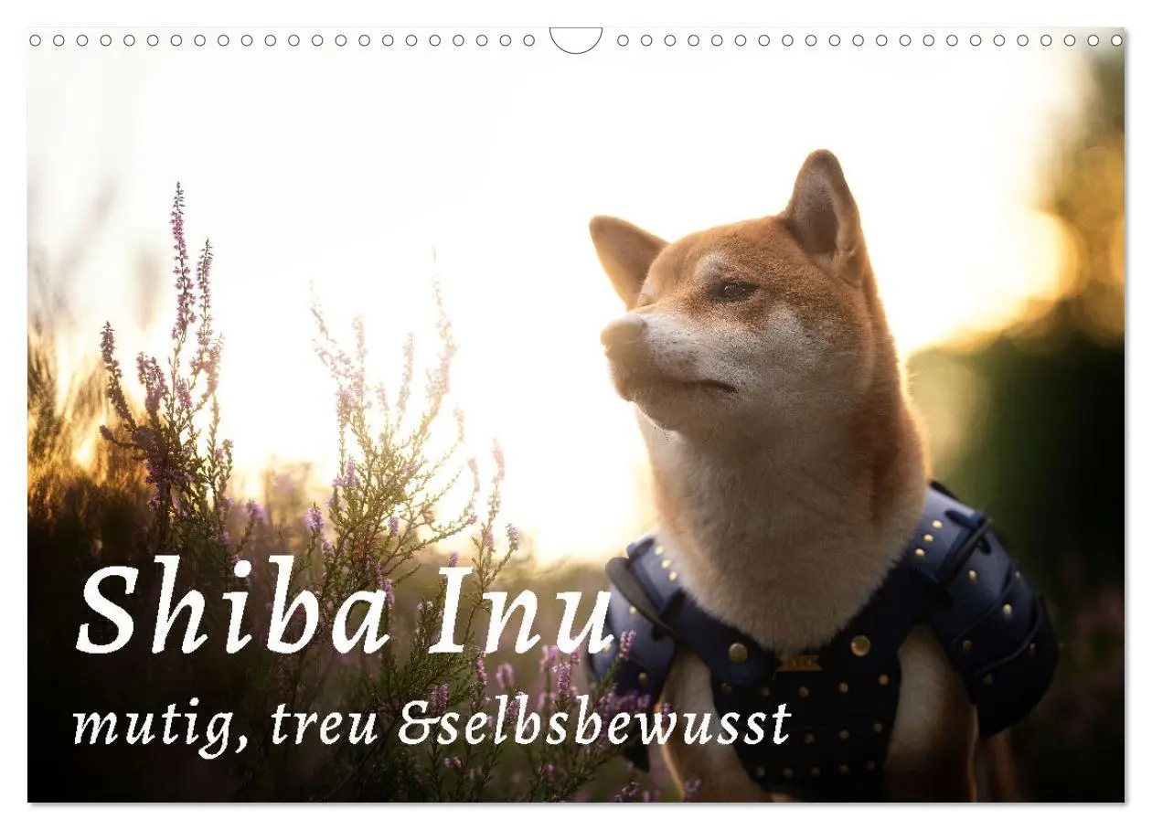 Cover: 9783457634349 | Shiba Inu - mutig, treu, selbstbewusst (Wandkalender 2026 DIN A3...