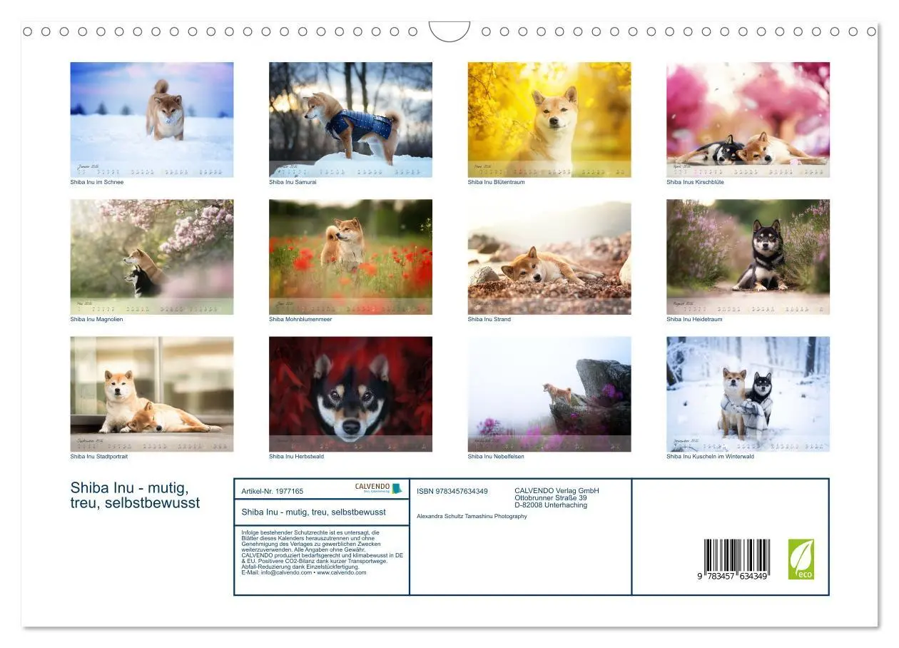 Bild: 9783457634349 | Shiba Inu - mutig, treu, selbstbewusst (Wandkalender 2026 DIN A3...