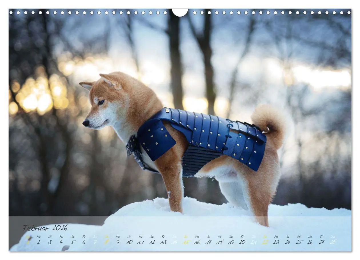Bild: 9783457634349 | Shiba Inu - mutig, treu, selbstbewusst (Wandkalender 2026 DIN A3...