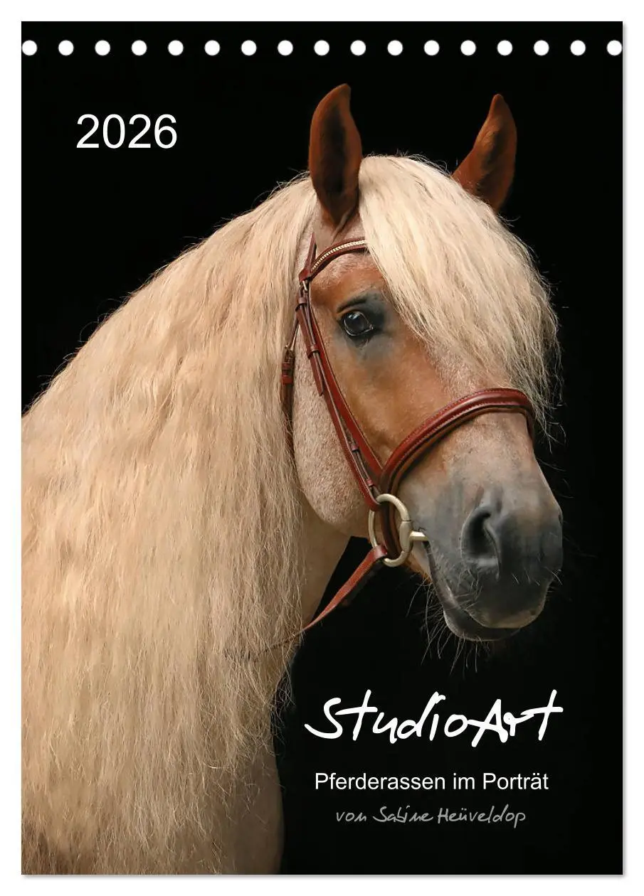 Cover: 9783516414349 | StudioArt Pferderassen im Porträt (Tischkalender 2026 DIN A5 hoch),...