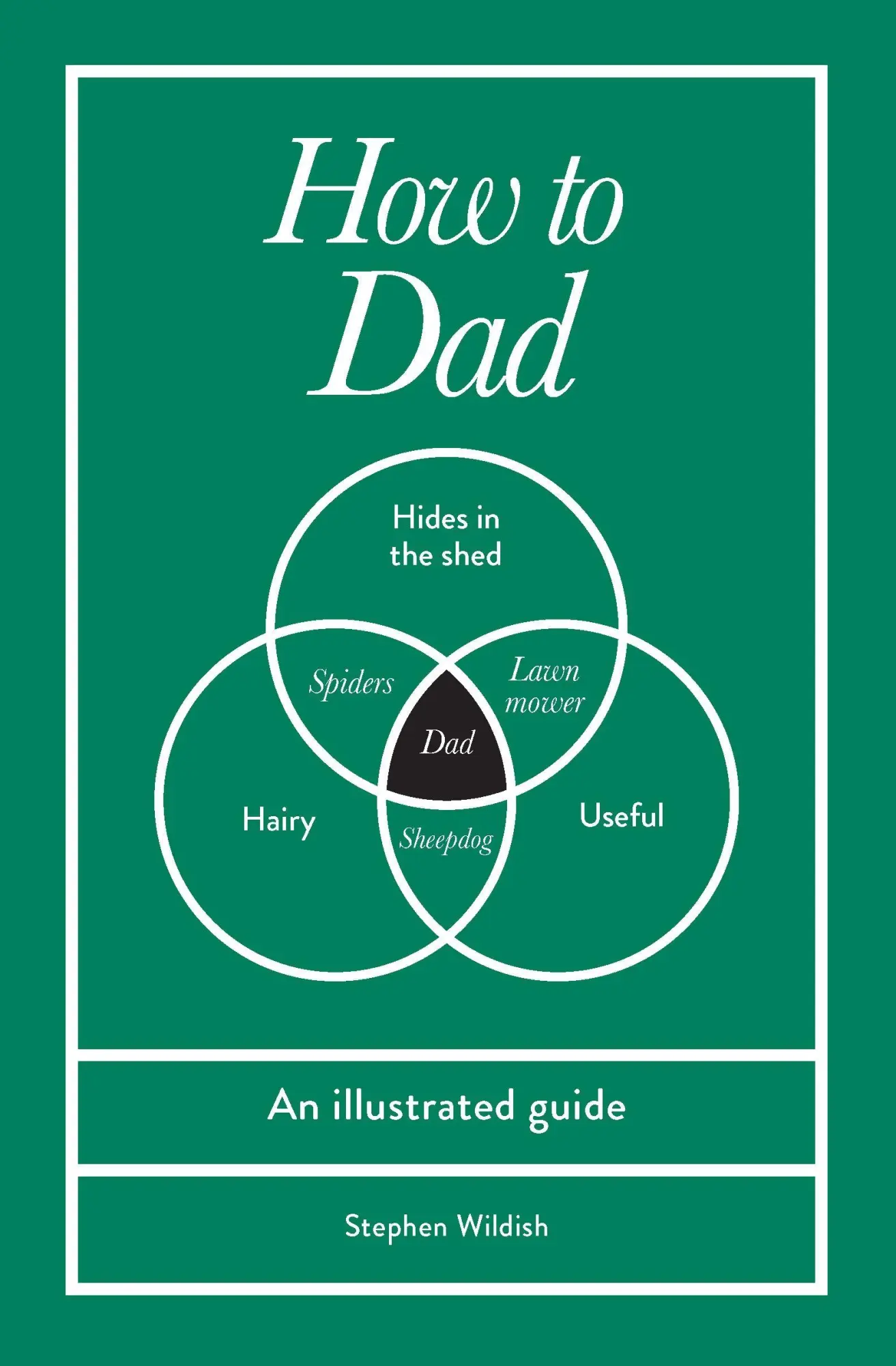 Cover: 9781529954449 | How to Dad | An illustrated guide | Stephen Wildish | Buch | Englisch