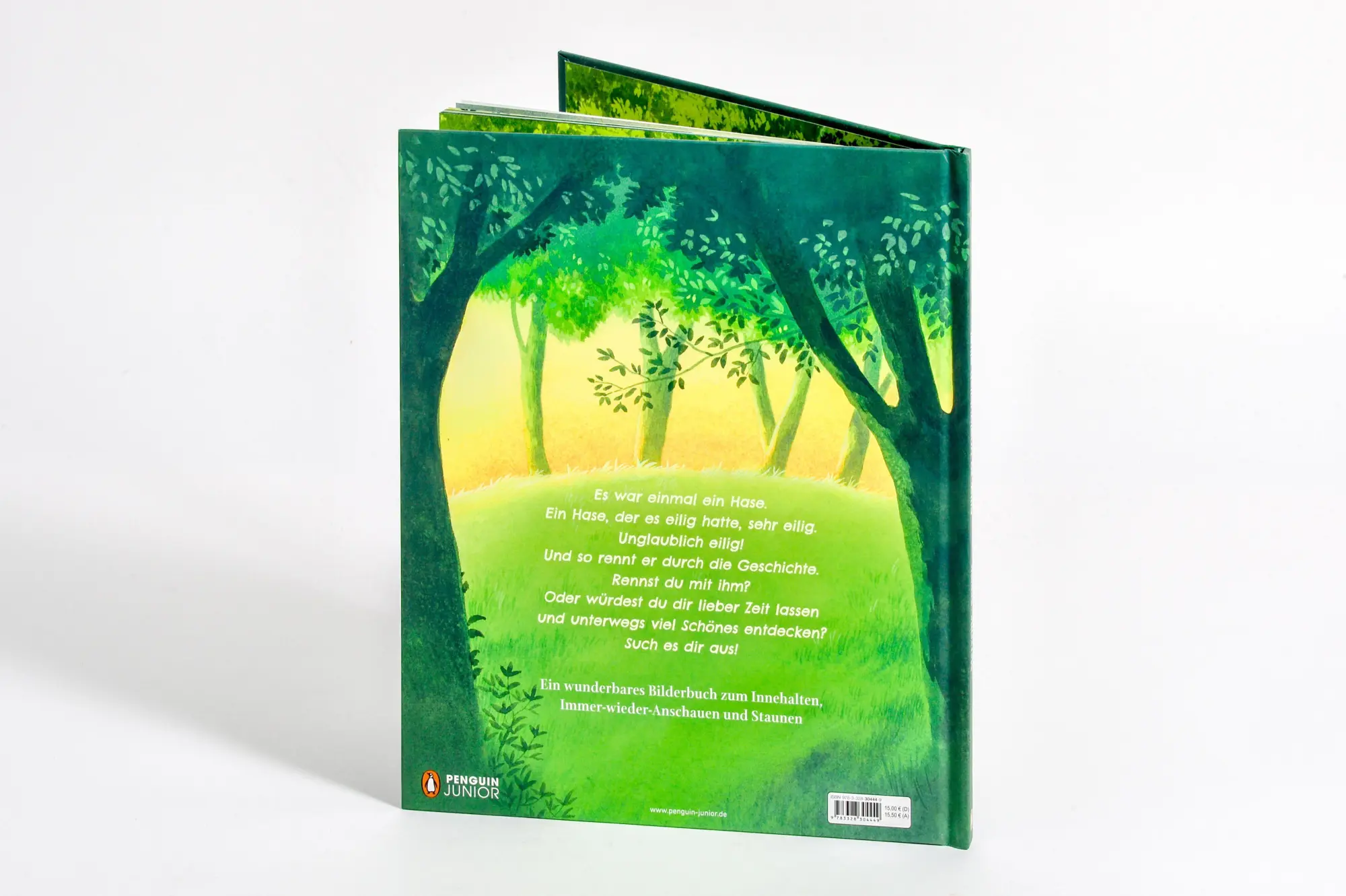 Bild: 9783328304449 | Eilig, so unglaublich eilig! | Christian Merveille | Buch | 32 S.
