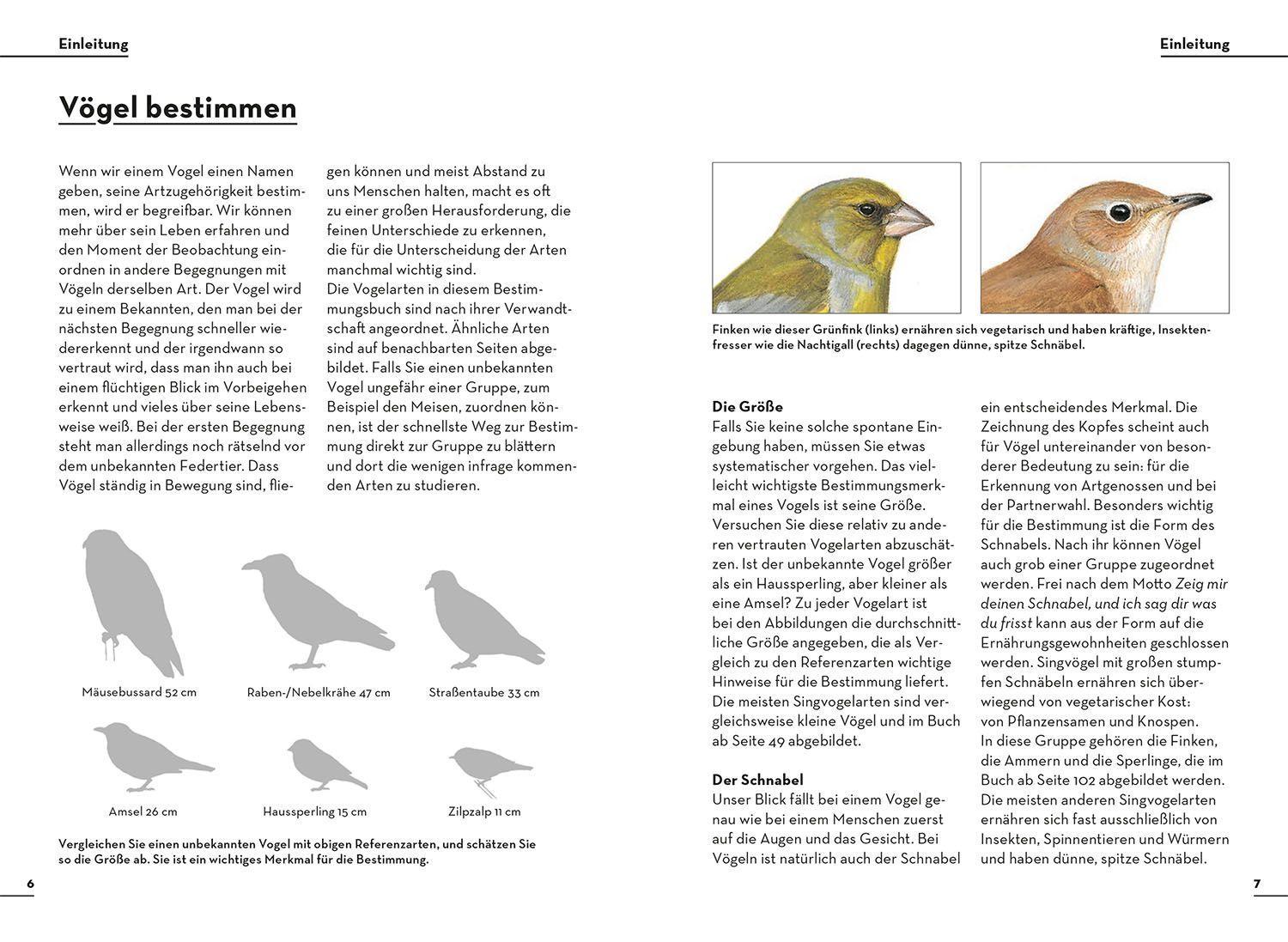 Bild: 9783440174449 | Einfach Gartenvögel | Felix Weiß | Taschenbuch | 128 S. | Deutsch