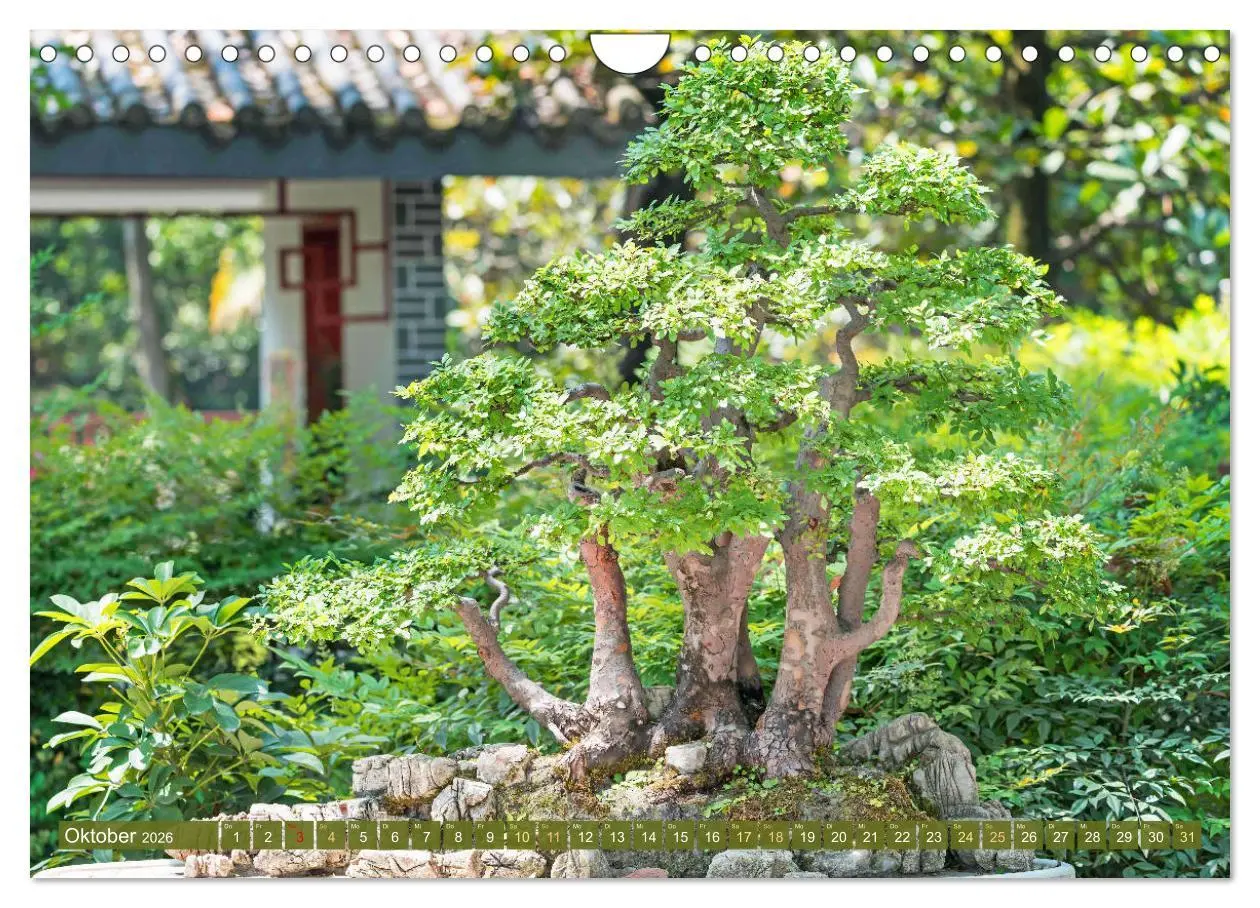 Bild: 9783457314449 | Gartenkunst aus Japan: Bonsai (Wandkalender 2026 DIN A4 quer),...