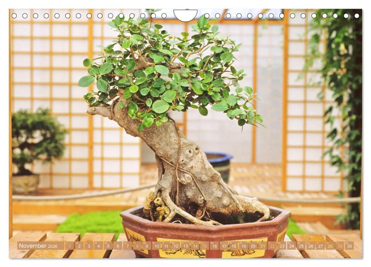 Bild: 9783457314449 | Gartenkunst aus Japan: Bonsai (Wandkalender 2026 DIN A4 quer),...