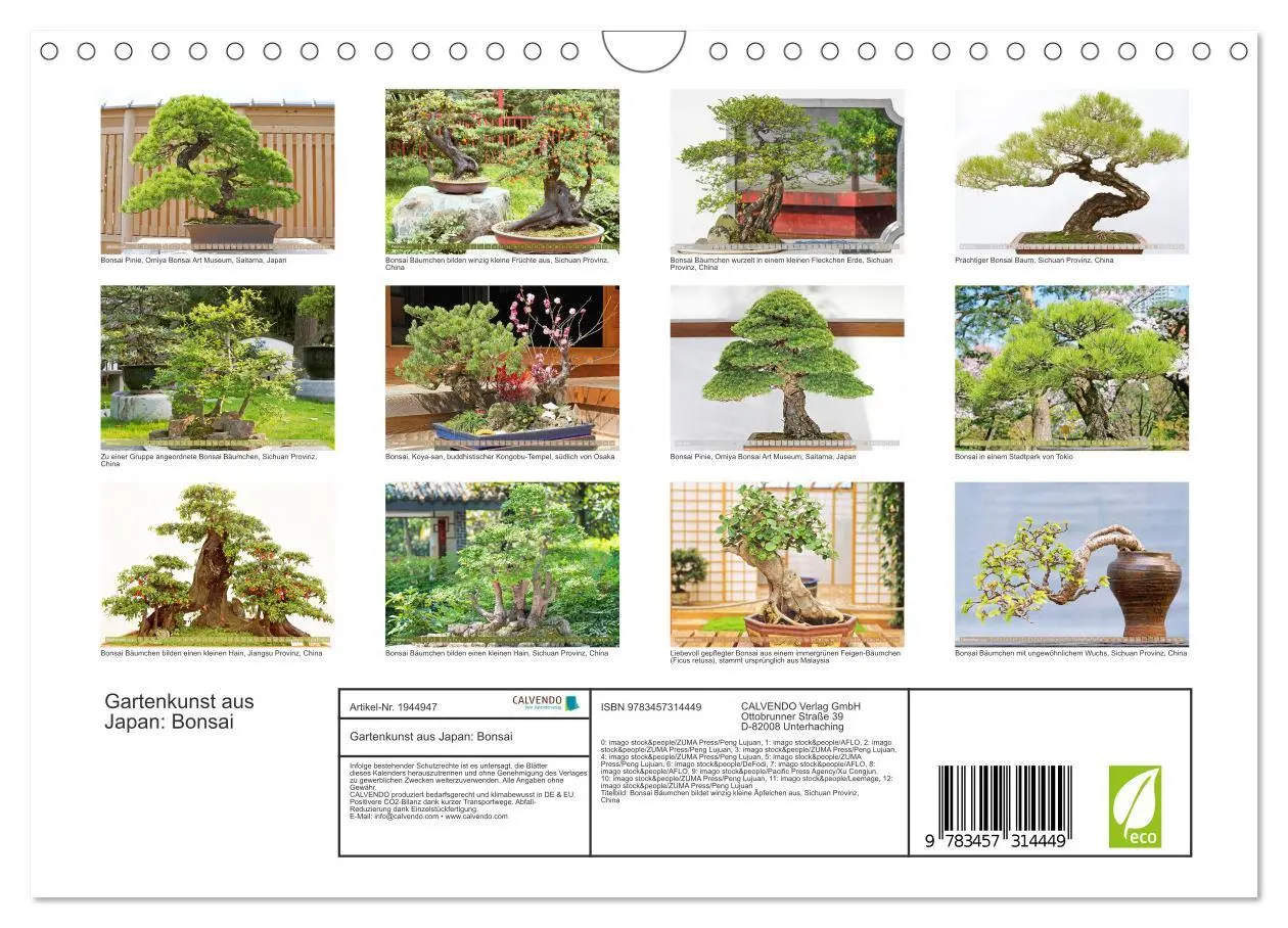 Bild: 9783457314449 | Gartenkunst aus Japan: Bonsai (Wandkalender 2026 DIN A4 quer),...