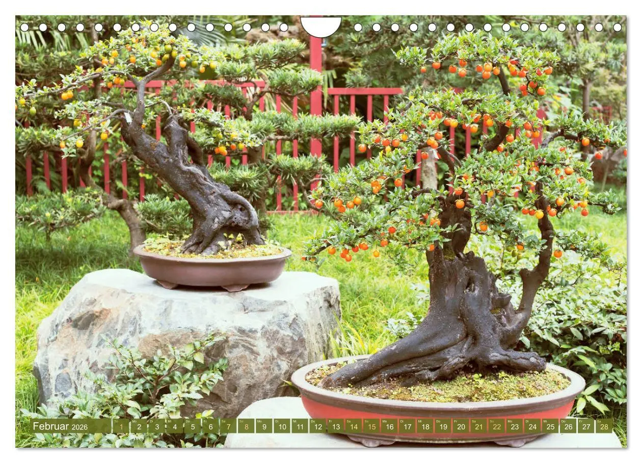 Bild: 9783457314449 | Gartenkunst aus Japan: Bonsai (Wandkalender 2026 DIN A4 quer),...
