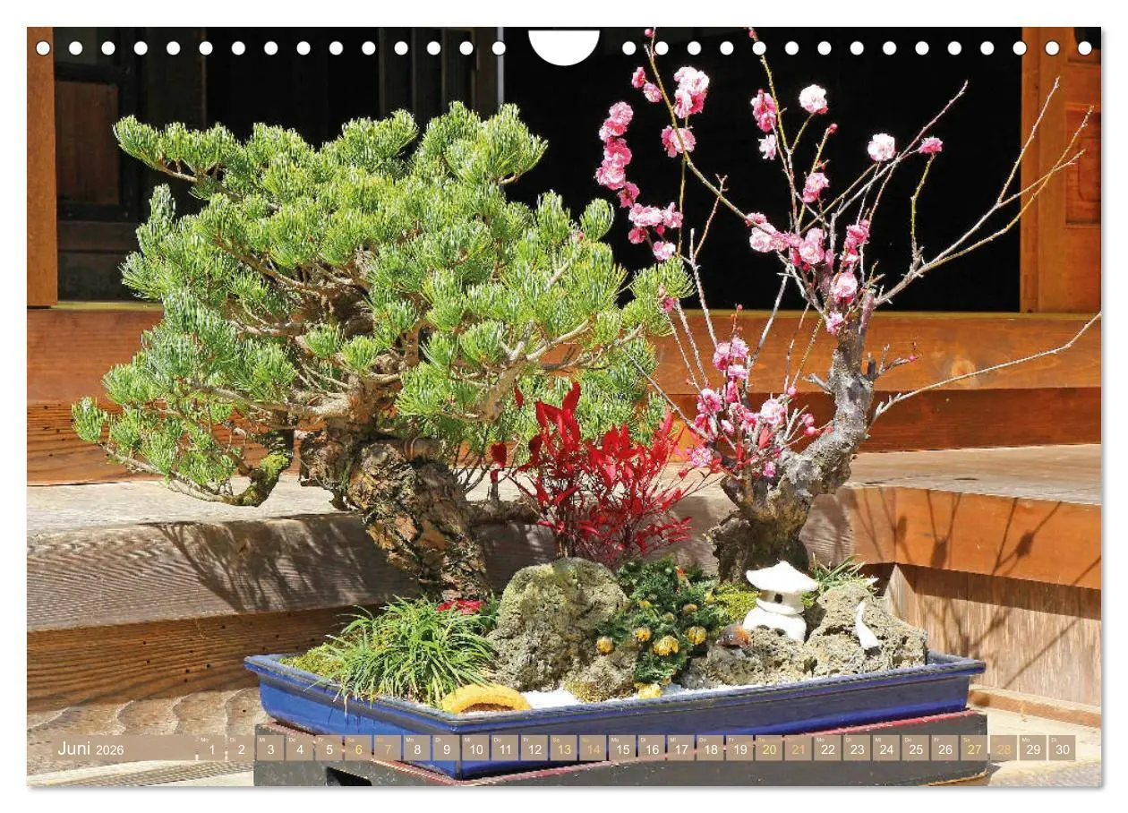 Bild: 9783457314449 | Gartenkunst aus Japan: Bonsai (Wandkalender 2026 DIN A4 quer),...
