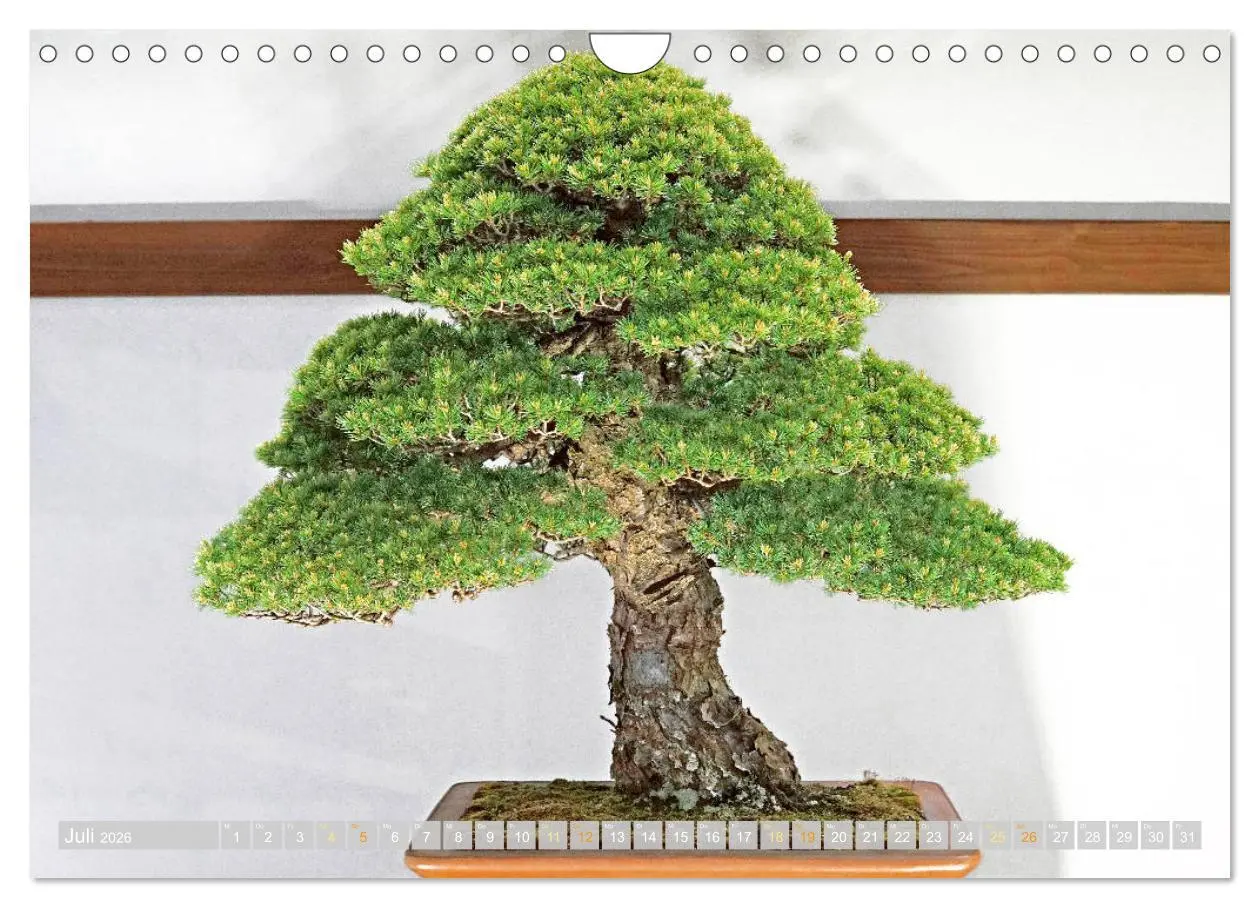 Bild: 9783457314449 | Gartenkunst aus Japan: Bonsai (Wandkalender 2026 DIN A4 quer),...