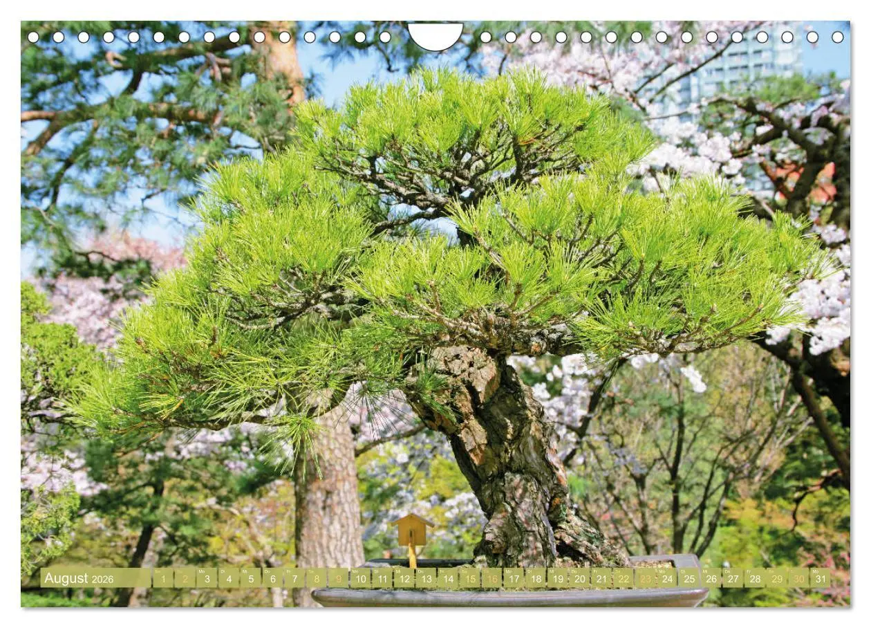Bild: 9783457314449 | Gartenkunst aus Japan: Bonsai (Wandkalender 2026 DIN A4 quer),...