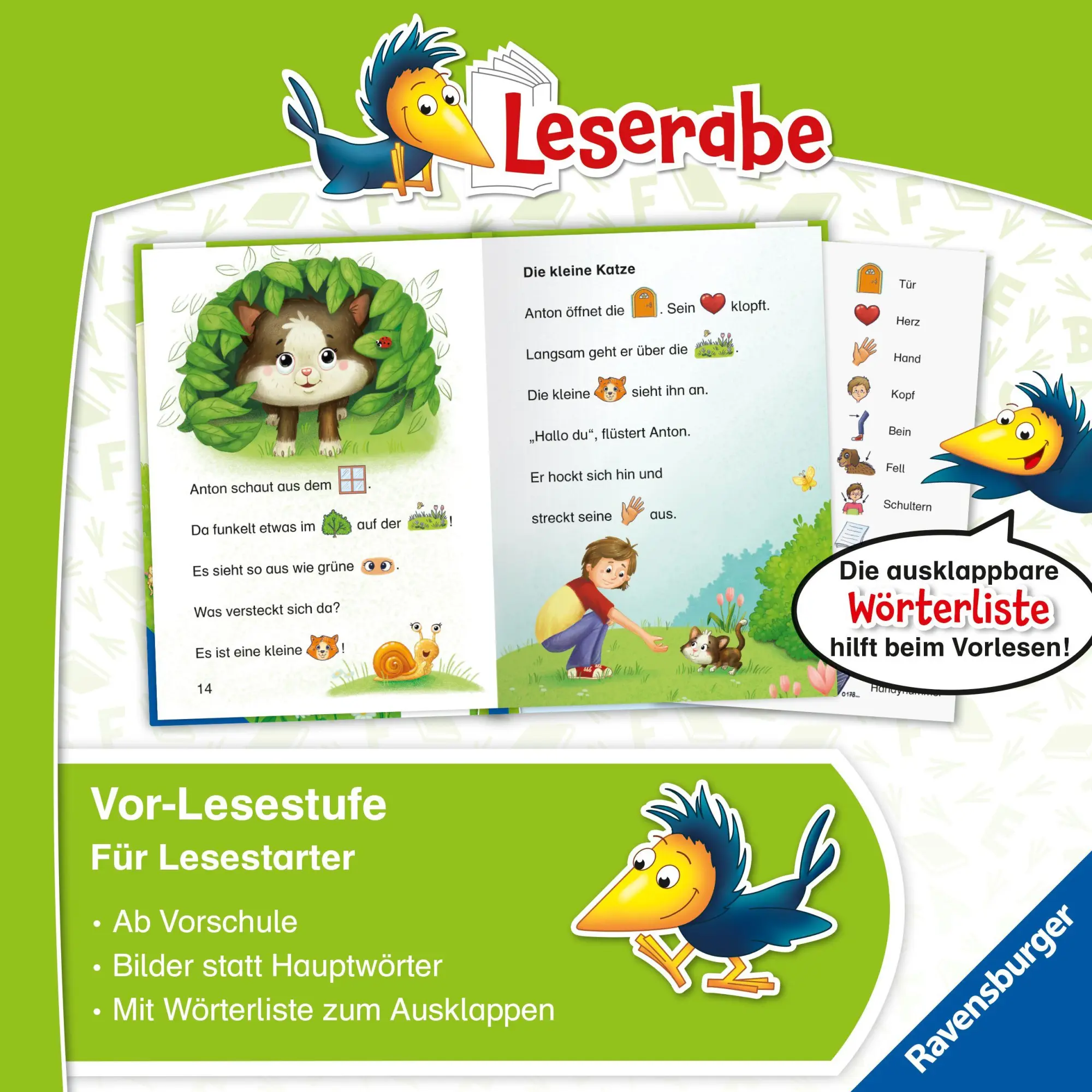 Bild: 9783473464449 | Leserabe Vor-Lesestufe - Eine kleine Katze für Anton | Volk | Buch