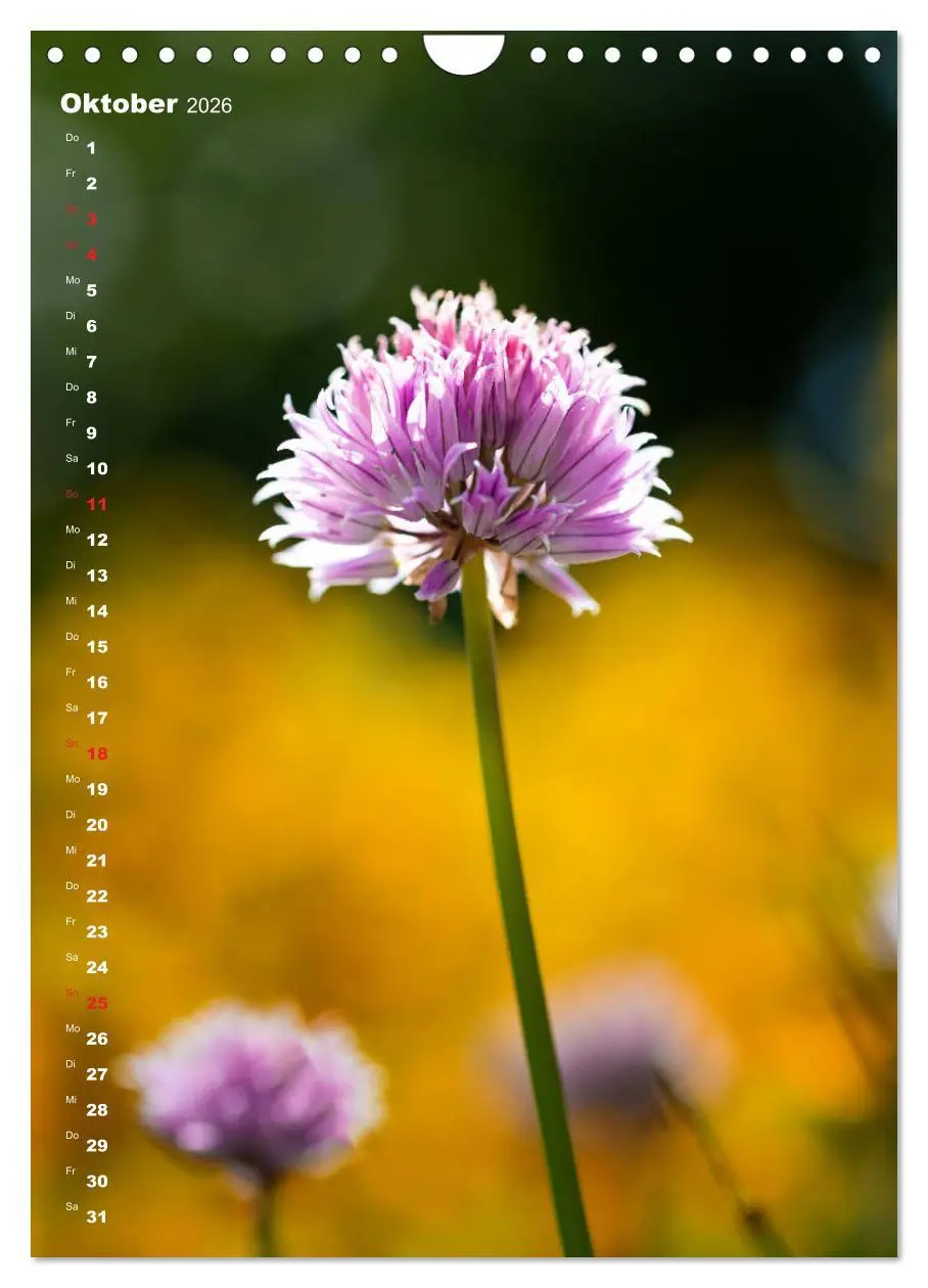 Bild: 9783516404449 | Colors of Nature (Wandkalender 2026 DIN A4 hoch), CALVENDO...